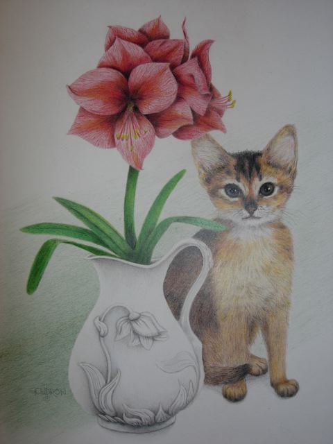 Amaryllis for Ambrose