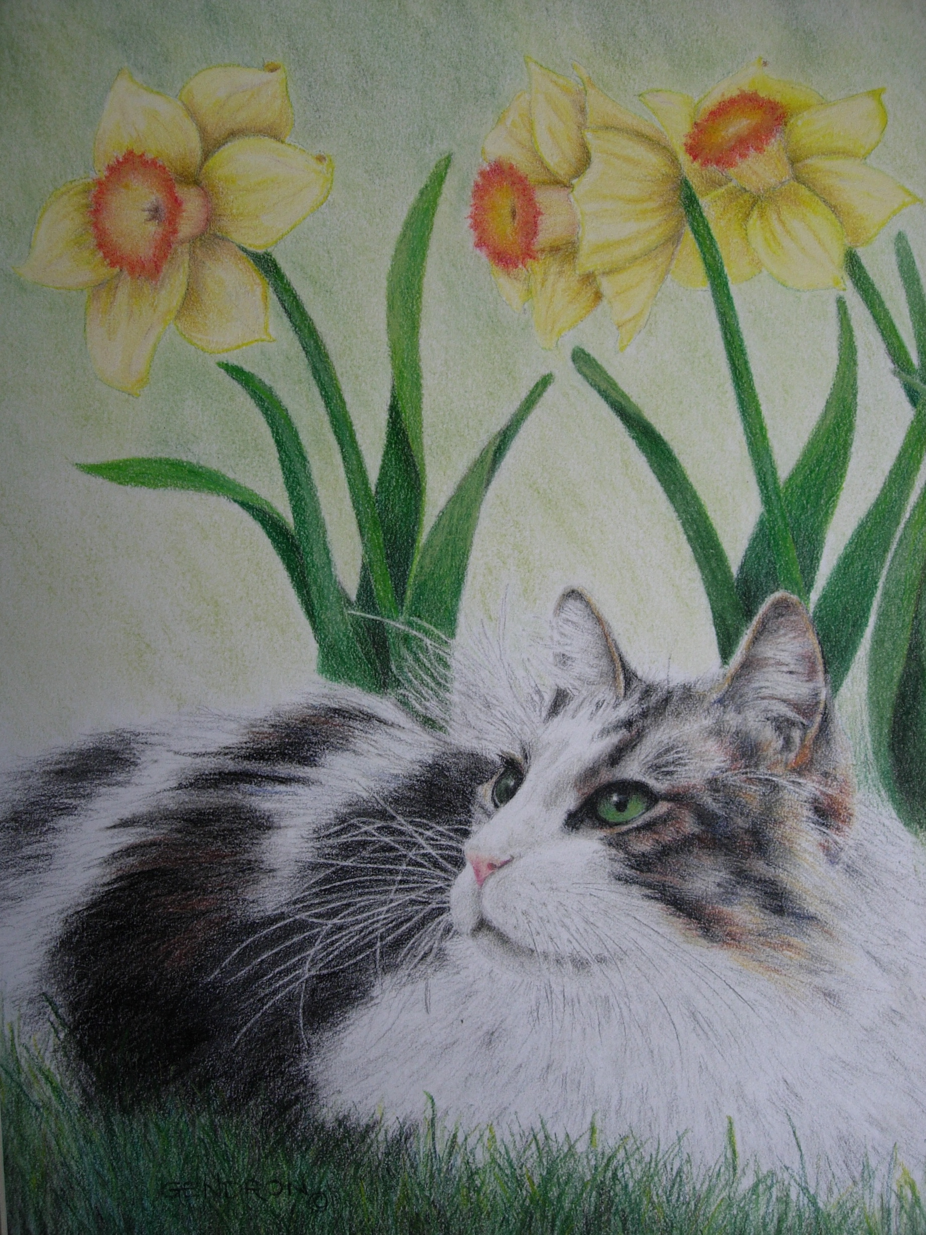 Himmel & the 3 Graces