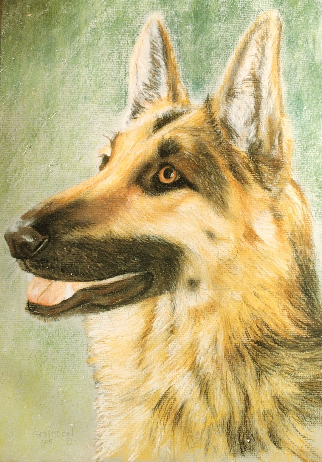 A Portrait of Major, the German Shepherd