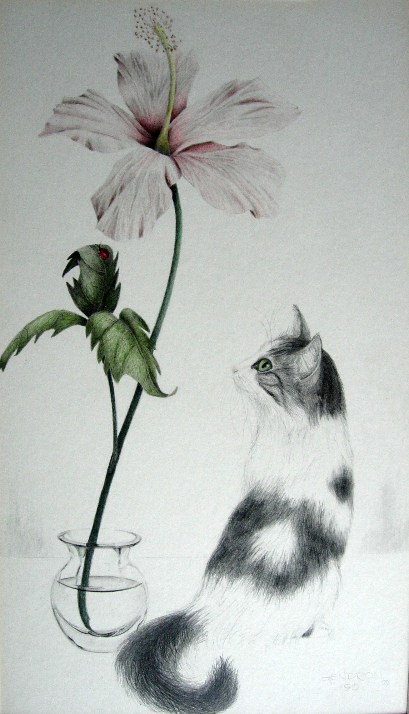 Himmel, Hibiscus and A Lady