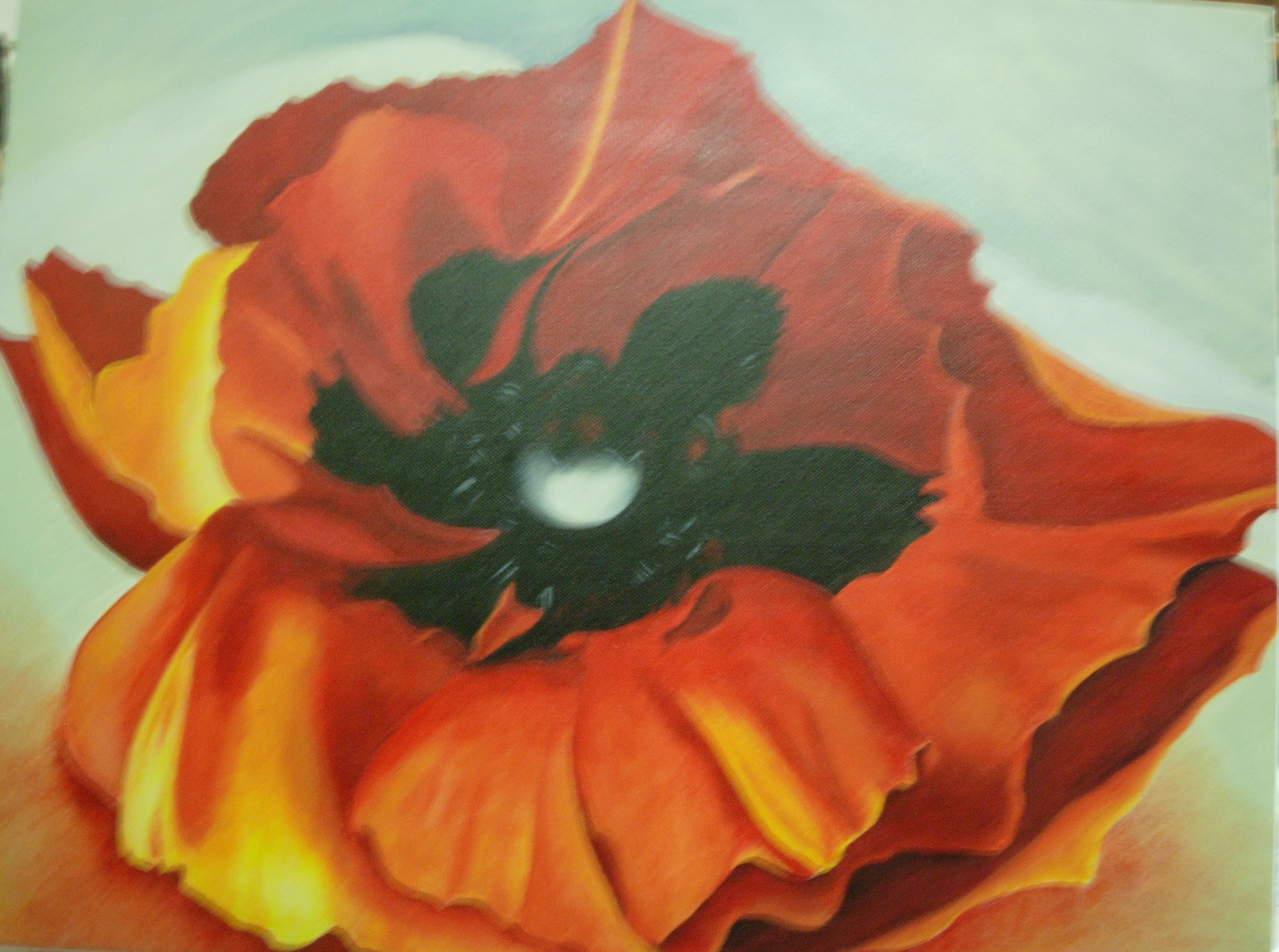 Poppies after O'Keeffe