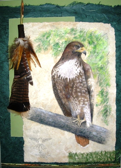 Redtail Hawk